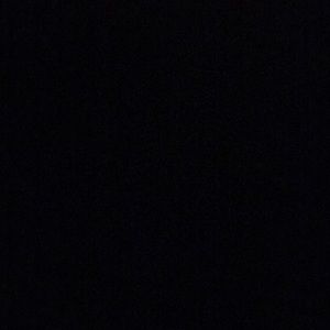 Meet your Posher, Vincent